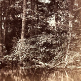Handsome Young Couple on Rowboat Outing, Crystal Sharp Albumen Cabinet Photo