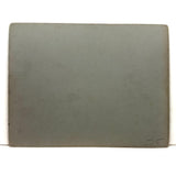 Handsome Young Couple on Rowboat Outing, Crystal Sharp Albumen Cabinet Photo