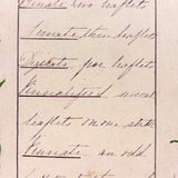 Bessie Slater's Beautiful 19th Century Ink and Watercolor Botany Chart: Leaves