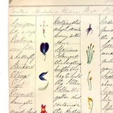 Bessie Slater's Beautiful 19th Century Ink and Watercolor Botany Chart: Flower Parts & Seeds