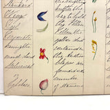Bessie Slater's Beautiful 19th Century Ink and Watercolor Botany Chart: Flower Parts & Seeds