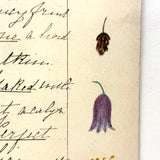 Bessie Slater's Beautiful 19th Century Ink and Watercolor Botany Chart: Flower Parts & Seeds