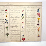 Bessie Slater's Beautiful 19th Century Ink and Watercolor Botany Chart: Flower Positions