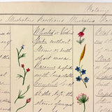 Bessie Slater's Beautiful 19th Century Ink and Watercolor Botany Chart: Flower Positions