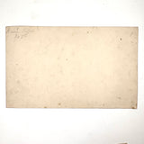 Bessie Slater's Beautiful 19th Century Ink and Watercolor Botany Chart: Roots and Stems