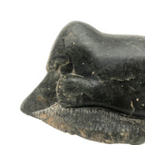Inuit Carved Stone Feasting Seal with Wonderful Flippers