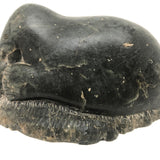 Inuit Carved Stone Feasting Seal with Wonderful Flippers