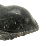 Inuit Carved Stone Feasting Seal with Wonderful Flippers