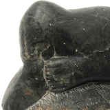 Inuit Carved Stone Feasting Seal with Wonderful Flippers