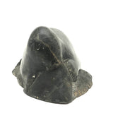 Inuit Carved Stone Feasting Seal with Wonderful Flippers