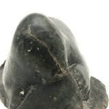 Inuit Carved Stone Feasting Seal with Wonderful Flippers