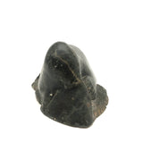 Inuit Carved Stone Feasting Seal with Wonderful Flippers