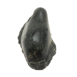 Inuit Carved Stone Feasting Seal with Wonderful Flippers