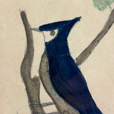 Blue Jay, Lovely c. 1900 Framed Watercolor