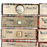 Scarlet Runner, Pith of Elder, Buffalo Horn: Beautiful Set of 18 Victorian Handmade Slides