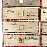 Scarlet Runner, Pith of Elder, Buffalo Horn: Beautiful Set of 18 Victorian Handmade Slides