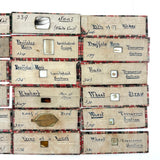 Scarlet Runner, Pith of Elder, Buffalo Horn: Beautiful Set of 18 Victorian Handmade Slides