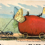 Return from the Insect Fair, Very Scarce Clapp and Treat Seeds Trade Card, Hartford CT, 1890s