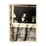 Dog Named Boy in the Window, Old Snapshot Photo