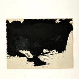 Dog Named Boy in the Window, Old Snapshot Photo