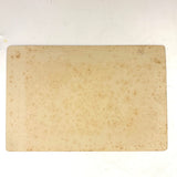 Portrait of a Dog in Chain Collar, c. 1890s H. Ramshaw, Acton, Ontario Cabinet Card Photo