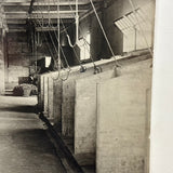Universal Portland Cement Co. Interior Stable, Chicago--Gorgeous c. 1910s-20s Silver Print Mounted on Linen
