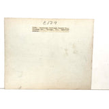 Universal Portland Cement Co. Interior Stable, Chicago--Gorgeous c. 1910s-20s Silver Print Mounted on Linen