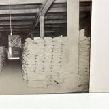 Universal Portland Cement Co. Chicago, Warehouse--Self-reflexive c. 1910s-20s Silver Print Mounted on Linen