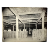 Universal Portland Cement Co. Chicago, Warehouse--Self-reflexive c. 1910s-20s Silver Print Mounted on Linen