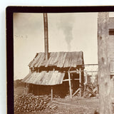 Rural South Carolina, c. 1890-1900, Pair of Early Kodak Snapshots