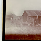 Rural South Carolina, c. 1890-1900, Pair of Early Kodak Snapshots