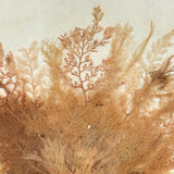 Lush Victorian Sea Moss Composition with Cut Paper Urn, Mid 19th Century, Period Oak Frame