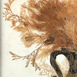 Lush Victorian Sea Moss Composition with Cut Paper Urn, Mid 19th Century, Period Oak Frame