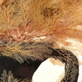 Lush Victorian Sea Moss Composition with Cut Paper Urn, Mid 19th Century, Period Oak Frame