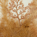 Lush Victorian Sea Moss Composition with Cut Paper Urn, Mid 19th Century, Period Oak Frame