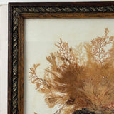Lush Victorian Sea Moss Composition with Cut Paper Urn, Mid 19th Century, Period Oak Frame
