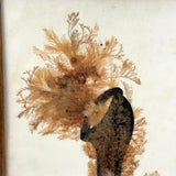 Victorian Sea Moss Composition with Cut Paper Horn, Mid 19th Century, Period Oak Frame