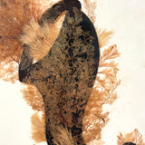 Victorian Sea Moss Composition with Cut Paper Horn, Mid 19th Century, Period Oak Frame