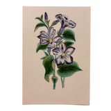 Bellflowers, Lovely 1872 Floral Watercolor Signed Marian Marcelin