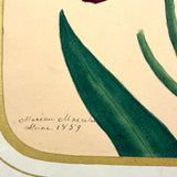 Marian Marcelin's 1859 Watercolor Iris ("Drawn from a flower which I had raised"