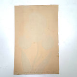 Marian Marcelin's 1859 Watercolor Iris ("Drawn from a flower which I had raised"