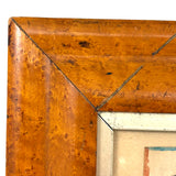 Marvelous Early 19th Century Folk Art Rooster, Ink and Watercolor, in Period Birds Eye Maple Frame