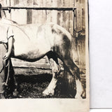 Young Man with Horse and Barn, Thurman, NY, Antique Snapshot
