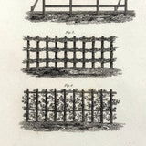 Fences (Agriculture), Striking and Poignant c. 1820 Engraving, Abraham Rees, London