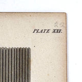 Fences (Agriculture), Striking and Poignant c. 1820 Engraving, Abraham Rees, London