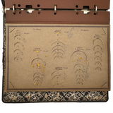 Feick Bros. CO. Pittsburgh Surgical Needles Salesman Samples Book