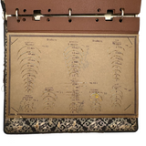 Feick Bros. CO. Pittsburgh Surgical Needles Salesman Samples Book