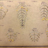 Feick Bros. CO. Pittsburgh Surgical Needles Salesman Samples Book