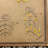 Feick Bros. CO. Pittsburgh Surgical Needles Salesman Samples Book