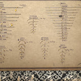 Feick Bros. CO. Pittsburgh Surgical Needles Salesman Samples Book